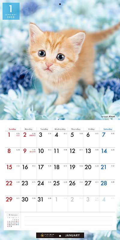 PICTWAN カレンダー 見開きサンプル