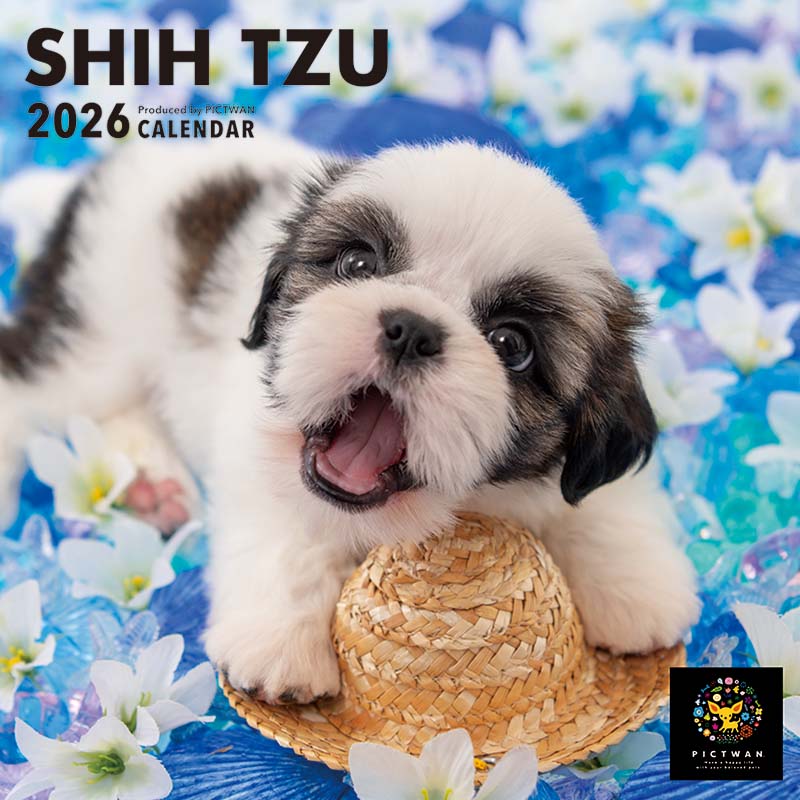 PICTWANカレンダー2026 シー・ズー【S判】