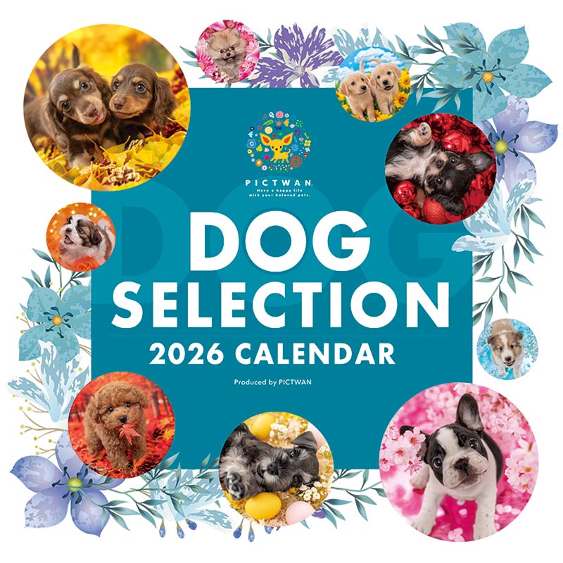 PICTWANカレンダー2026 ドッグ・セレクション【L判】