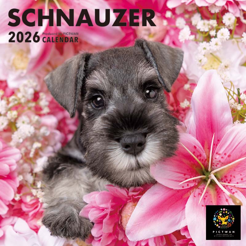 PICTWANカレンダー2026 シュナウザー【S判】
